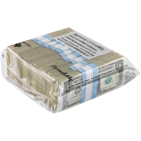 Amistad 8 x 9.25 in. Permalok Bundle Bags, Clear, 250PK AM3737284